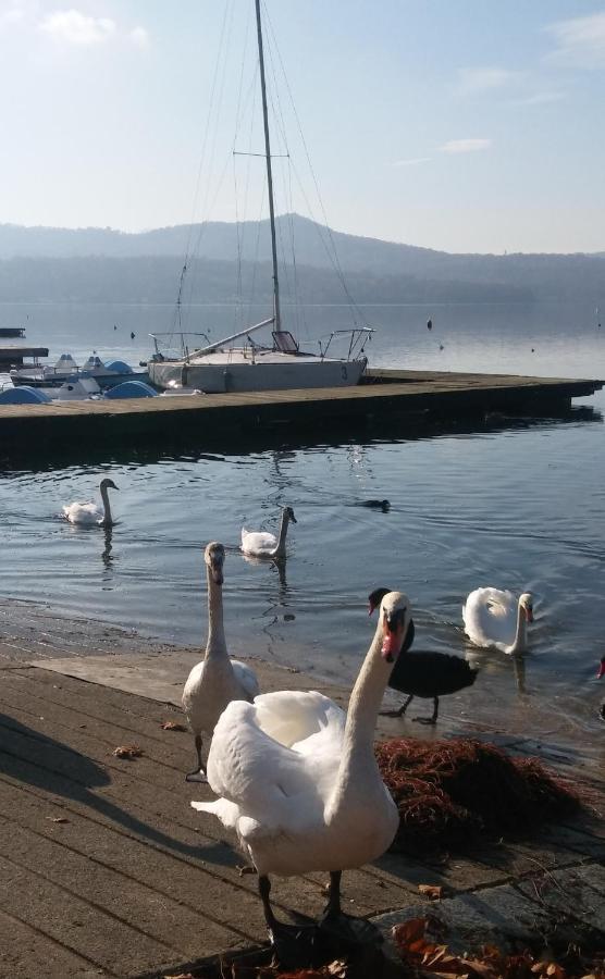 Intero appartamento doppi bagni sei posti letto Viverone Esterno foto