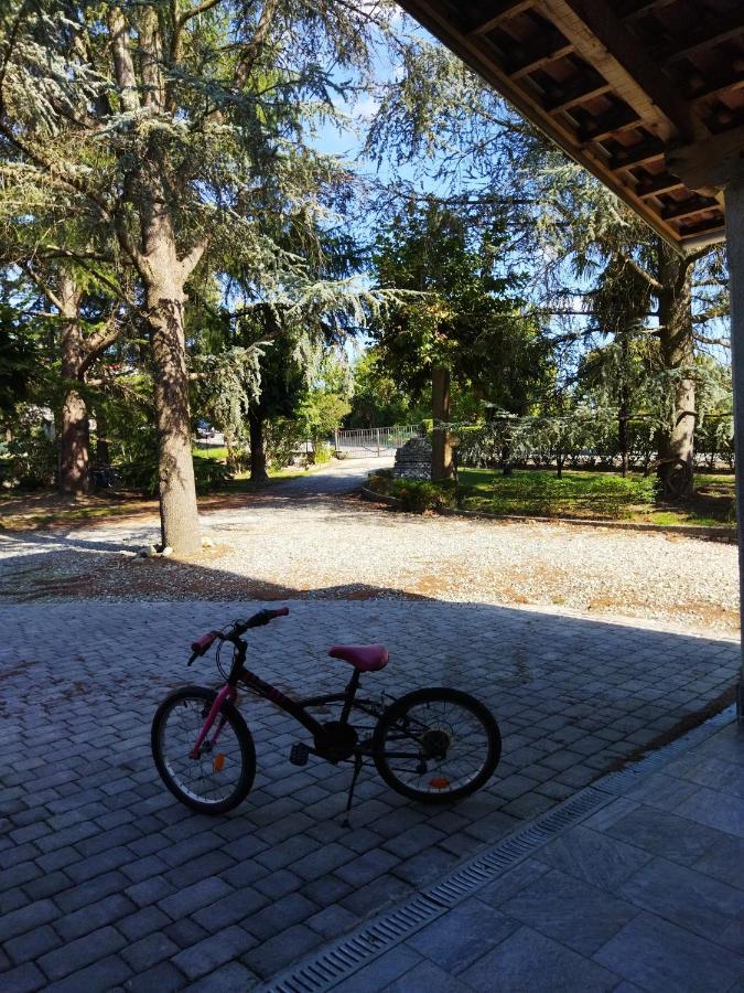 Intero appartamento doppi bagni sei posti letto Viverone Esterno foto