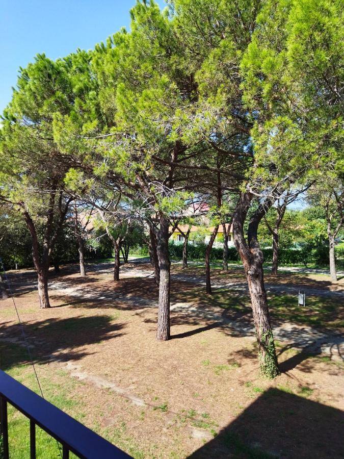 Intero appartamento doppi bagni sei posti letto Viverone Esterno foto