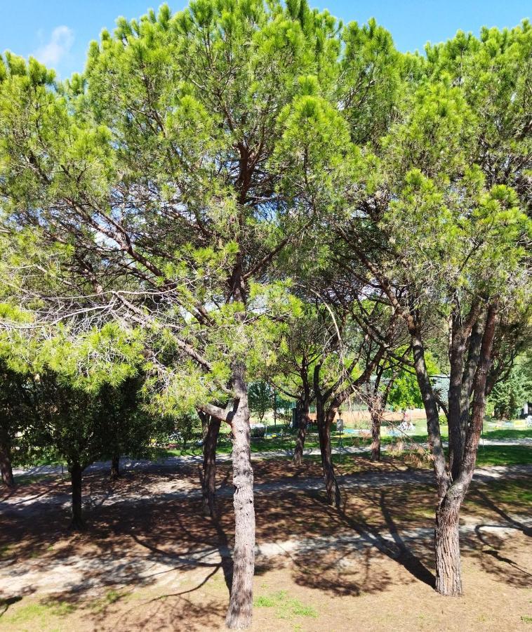 Intero appartamento doppi bagni sei posti letto Viverone Esterno foto